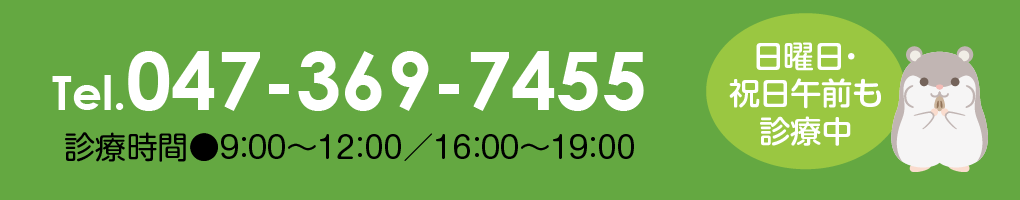 TEL：047-369-7455