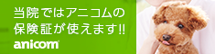 アニコム損害保険