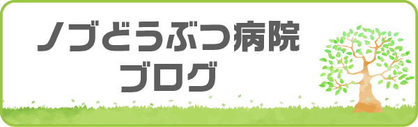 ノブどうぶつ病院ブログ