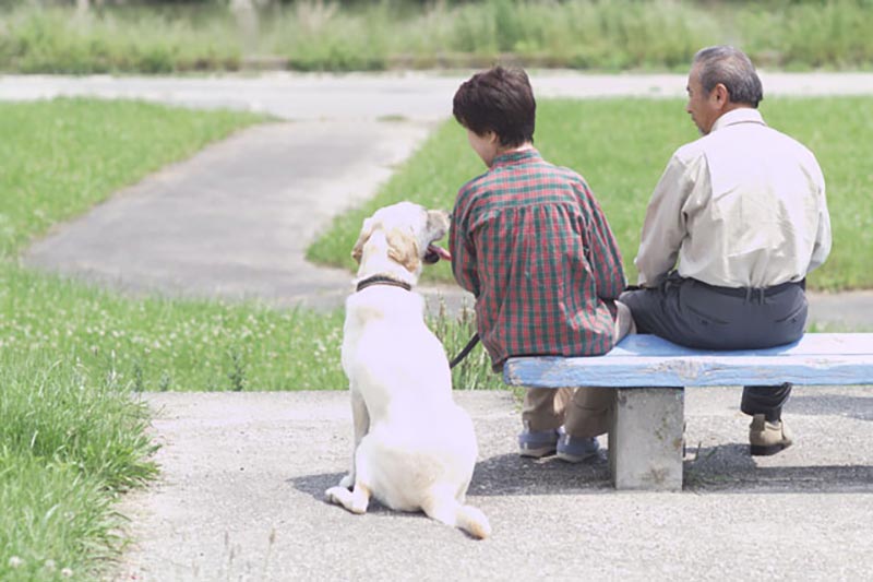 診療案内